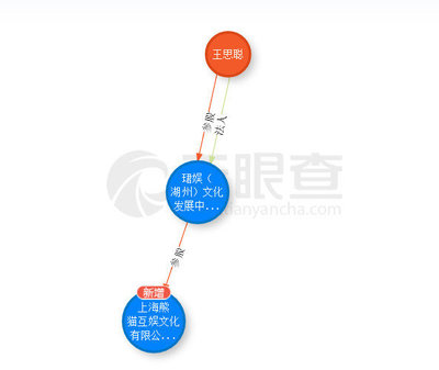 起底王思聰投資神話 吹出來的泡沫？